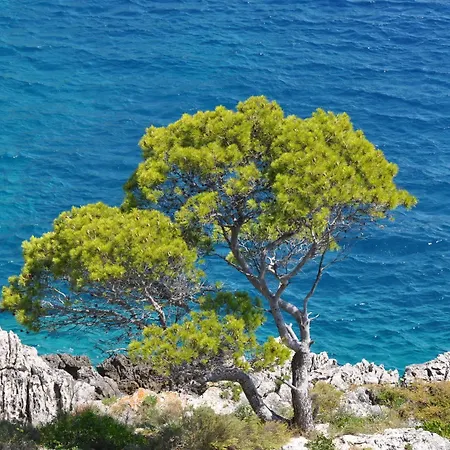 Touring Club Italiano - Isole Tremiti Kompleks wypoczynkowy