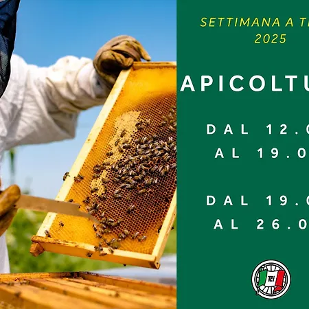 Touring Club Italiano - Isole Tremiti San Domino