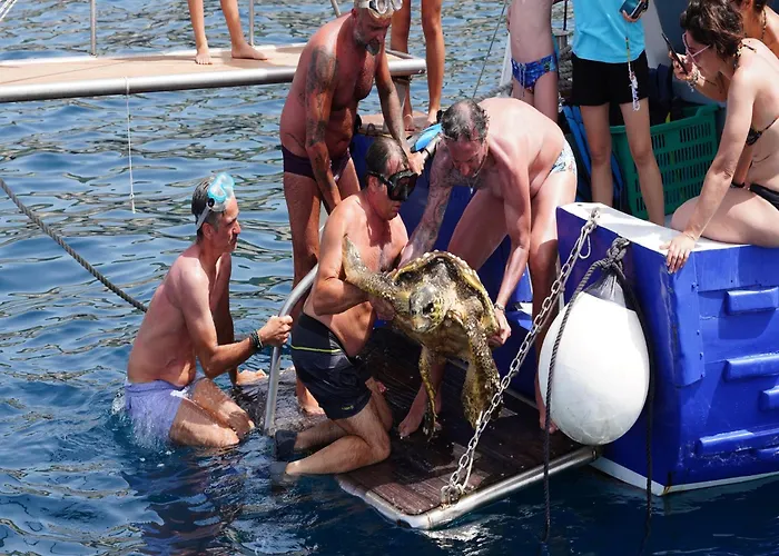 Touring Club Italiano - Isole Tremiti Vakantiepark San Domino