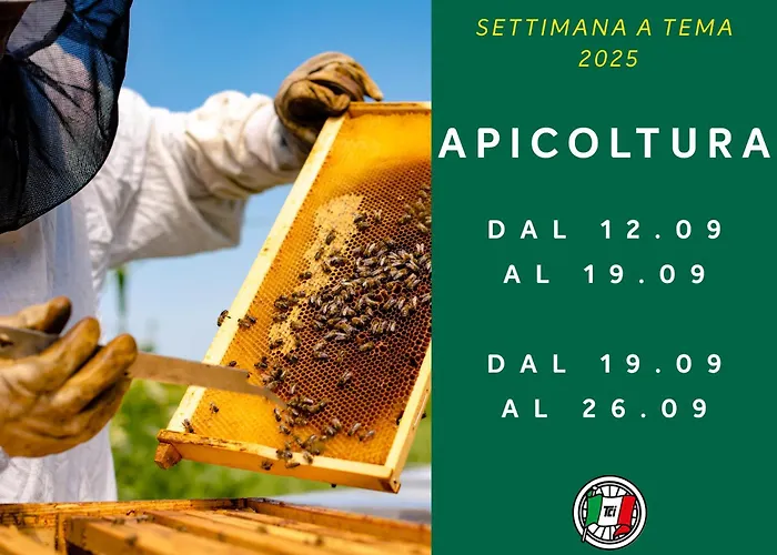 Touring Club Italiano - Isole Tremiti San Domino