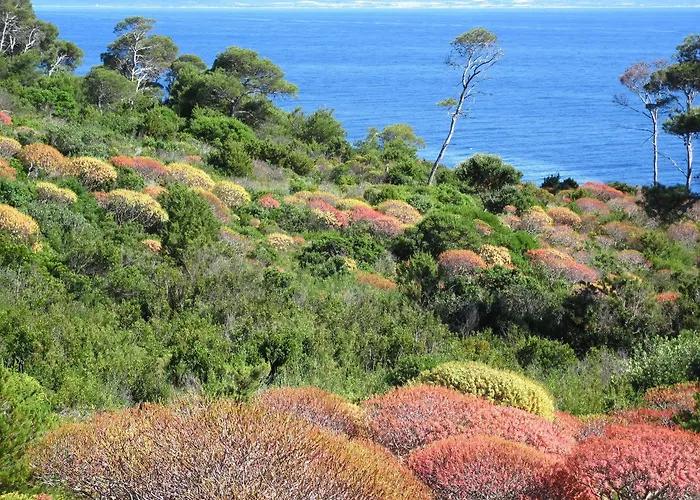 Touring Club Italiano - Isole Tremiti Vakantiepark 3*